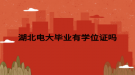 湖北電大畢業(yè)有學位證嗎