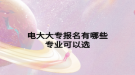 電大大專(zhuān)報(bào)名有哪些專(zhuān)業(yè)可以選