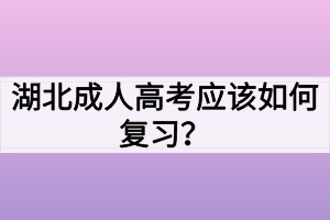 湖北成人高考應(yīng)該如何復(fù)習(xí)？