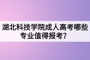 湖北科技學院成人高考哪些專業(yè)值得報考？