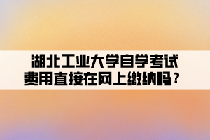 湖北工業(yè)大學(xué)自學(xué)考試費(fèi)用直接在網(wǎng)上繳納嗎？