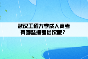 武漢工程大學(xué)成人高考有哪些報考層次呢？