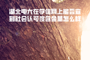 湖北電大在學(xué)信網(wǎng)上能否查到社會認(rèn)可度含金量怎么樣 湖北電大在學(xué)信網(wǎng)上能否查到社會認(rèn)可度含金量怎么樣