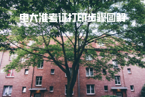 電大準考證打印步驟圖解