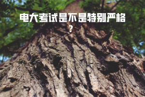 電大考試是不是特別嚴(yán)格？