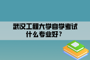 武漢工程大學自學考試什么專業(yè)好？