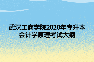 武漢工商學院2020年專升本會計學原理考試大綱