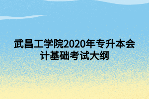 武昌工學院2020年專升本會計基礎(chǔ)考試大綱