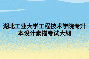 湖北工業(yè)大學工程技術學院專升本設計素描考試大綱