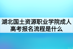 湖北國土資源職業(yè)學院成人高考報名流程是什么 湖北國土資源職業(yè)學院成人高考報名流程是什么