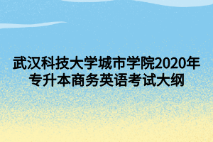 武漢科技大學城市學院2020年專升本商務(wù)英語考試大綱