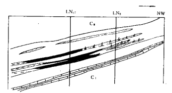 QQ截圖20210115161544 QQ截圖20210115161544