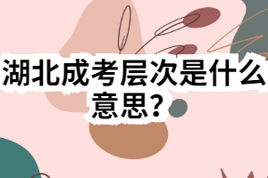 湖北成考層次是什么意思？