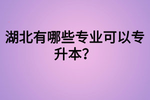 湖北有哪些專業(yè)可以專升本？