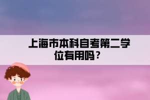 上海市本科自考第二學位有用嗎？