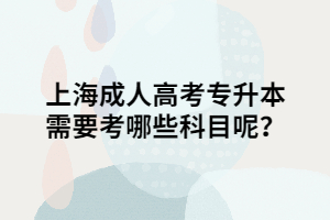 上海成人高考專升本需要考哪些科目呢？