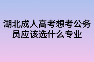 湖北成人高考想考公務(wù)員應(yīng)該選什么專業(yè) 湖北成人高考想考公務(wù)員應(yīng)該選什么專業(yè)