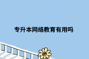 專(zhuān)升本網(wǎng)絡(luò)教育有用嗎