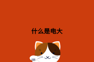 什么是電大 什么是電大