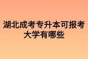 湖北成考可報考大學(xué)有哪些 湖北成考可報考大學(xué)有哪些