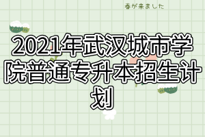 2021年武漢城市學(xué)院普通專升本招生計劃 2021年武漢城市學(xué)院普通專升本招生計劃