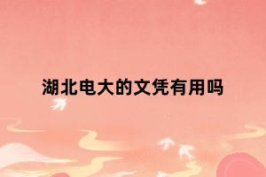 湖北電大的文憑有用嗎