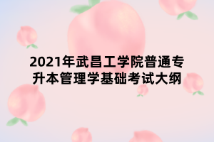 2021年武昌工學(xué)院普通專升本管理學(xué)基礎(chǔ)考試大綱 2021年武昌工學(xué)院普通專升本管理學(xué)基礎(chǔ)考試大綱