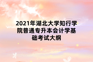 2021年湖北大學(xué)知行學(xué)院普通專(zhuān)升本會(huì)計(jì)學(xué)基礎(chǔ)考試大綱