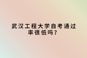 武漢工程大學自考通過率很低嗎？
