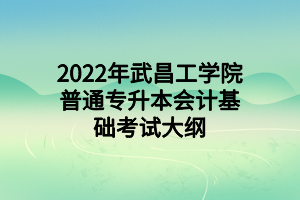 2022年武昌工學(xué)院普通專升本會計基礎(chǔ)考試大綱