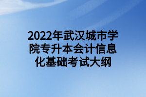 2022年武漢城市學(xué)院專升本會計信息化基礎(chǔ)考試大綱 2022年武漢城市學(xué)院專升本會計信息化基礎(chǔ)考試大綱