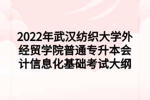 2022年武漢紡織大學外經貿學院普通專升本會計信息化基礎考試大綱