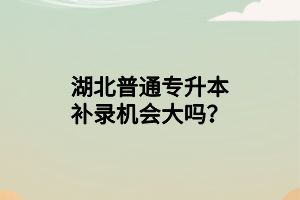 湖北普通專升本補(bǔ)錄機(jī)會大嗎？