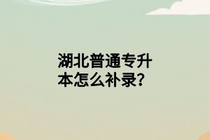 湖北普通專升本怎么補錄？