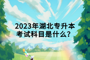 2023年湖北專升本考試科目是什么？