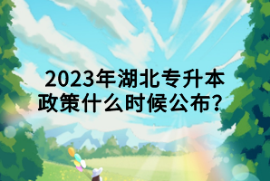 2023年湖北專升本政策什么時候公布？